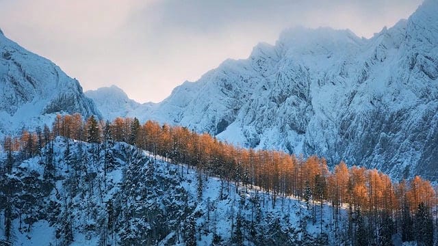 ゴルフ会員権の魅力と賢い選び方ガイド